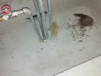 南谯卫生间测漏水价格明细